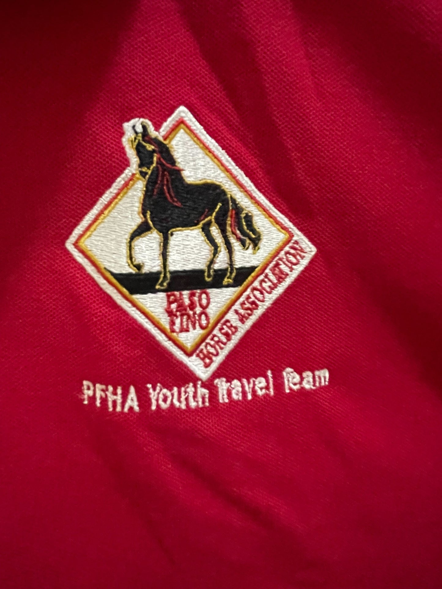 Youth Travel Polos